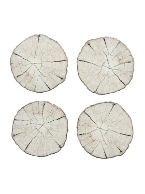 Birch Coasters