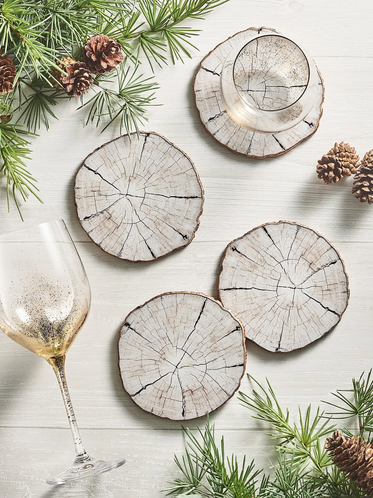 Birch Coasters