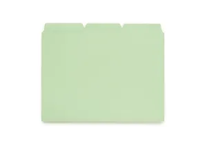 File Folders - Mint