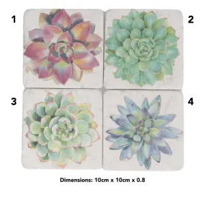 Gisela Graham 10cm Succulent Resin Coaster (Choice of 4)