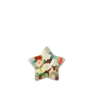 John Derian Corsage Star Paperweight, 11cm