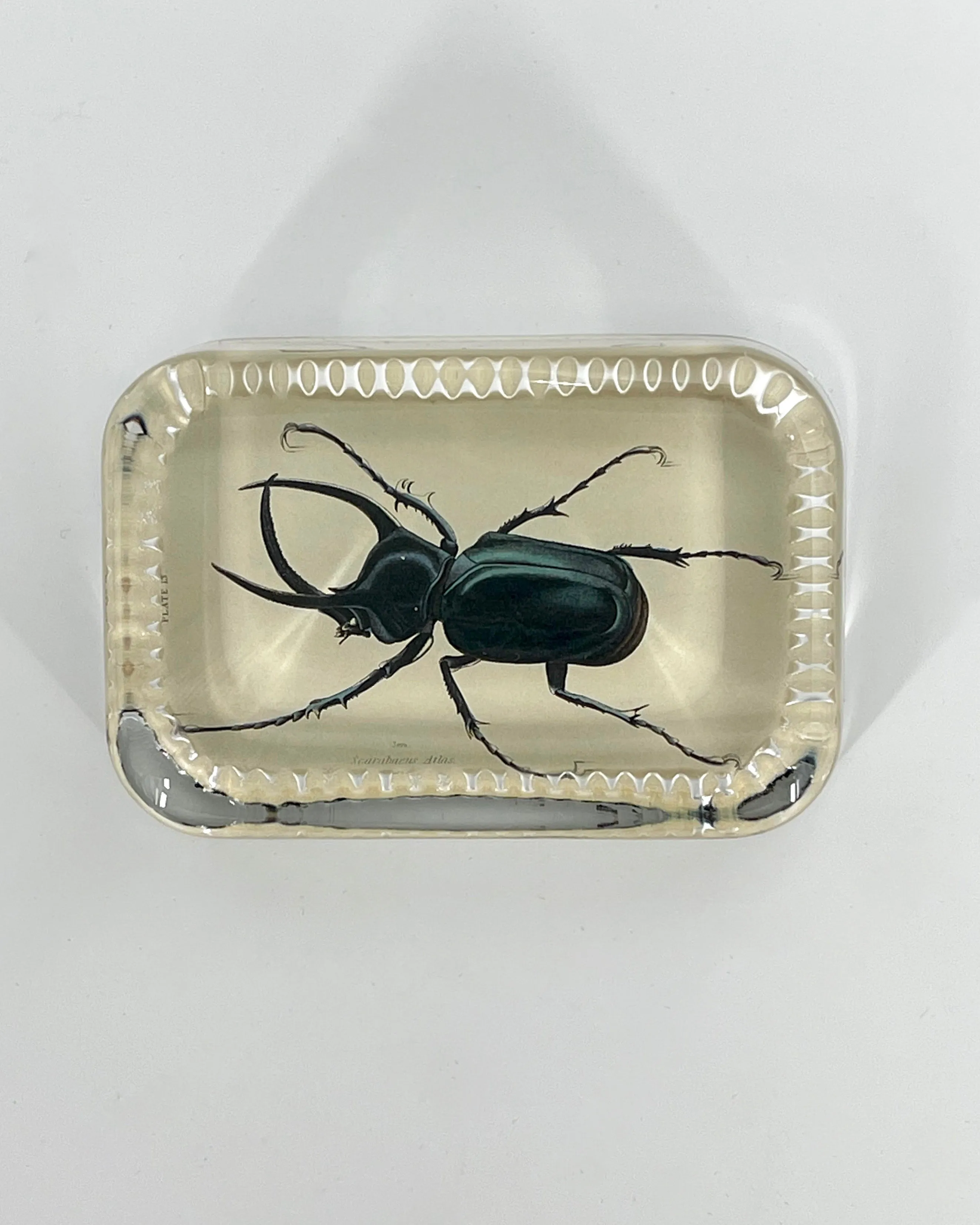 John Derian Rectangular Paperweight