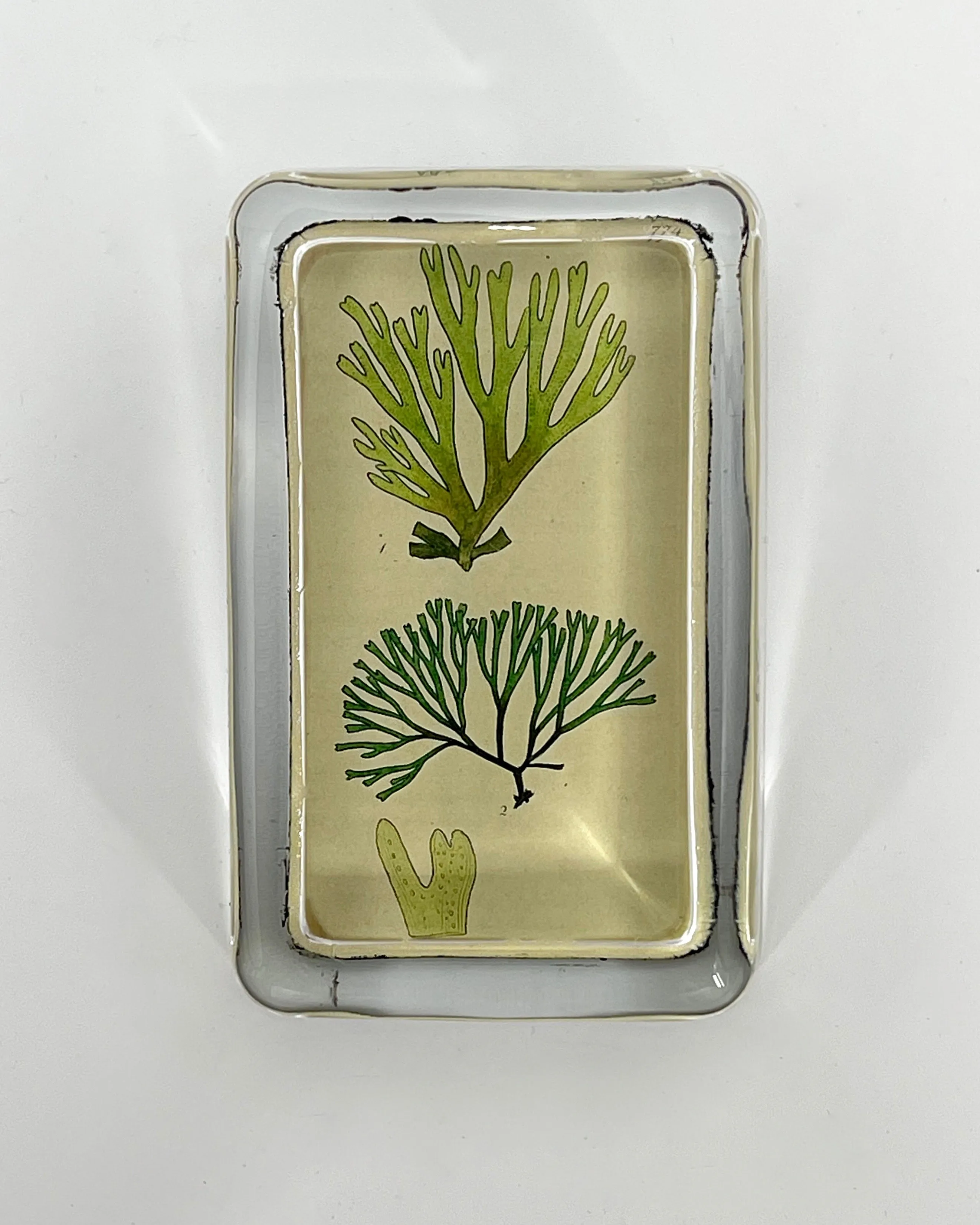 John Derian Rectangular Paperweight