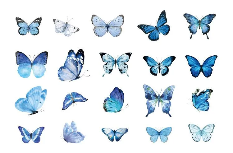 Poppy Crafts Butterfly Nature Sticker Pack - Blue