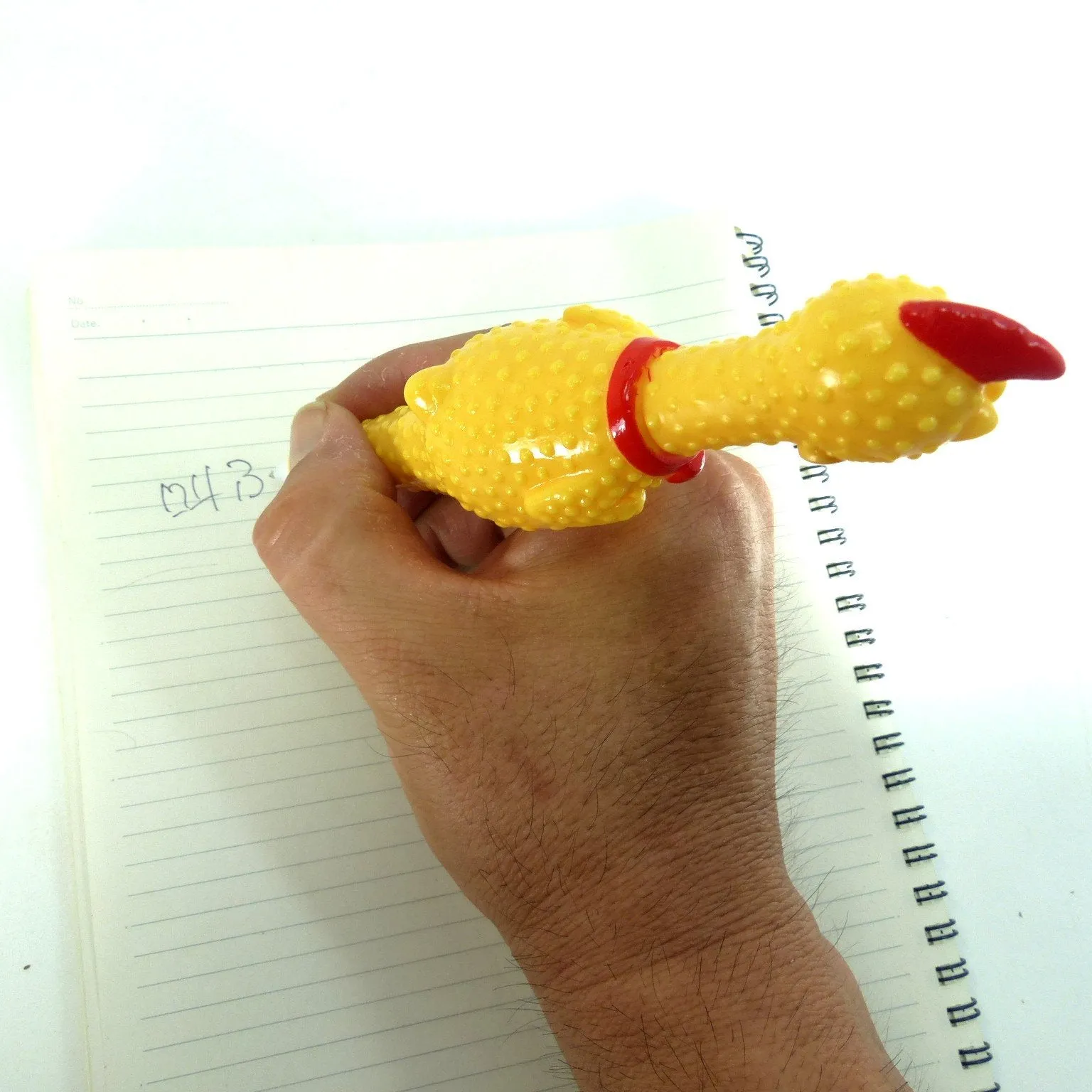 Screaming Chicken Pen