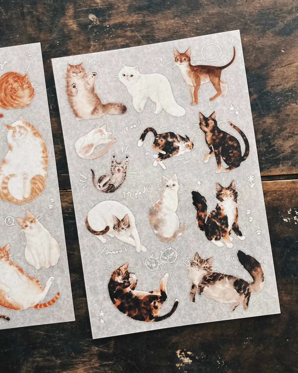 SOME SORT OF FERN | Ginger Cat Print On Sticker