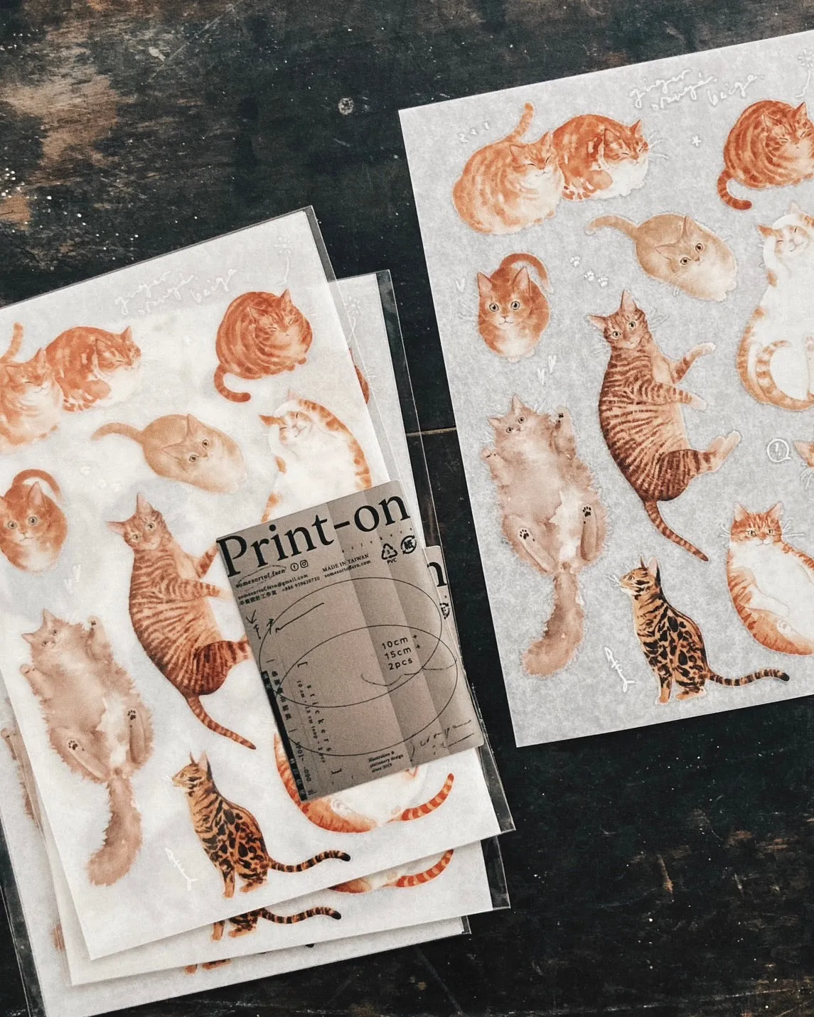 SOME SORT OF FERN | Ginger Cat Print On Sticker